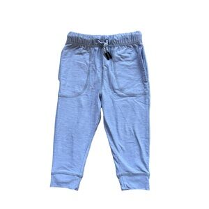 Hanna Andersson pants 2T